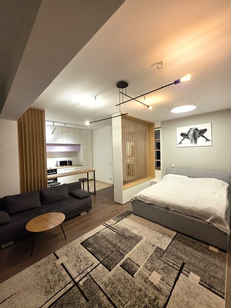 Ansamblul Soho, studio premium de vanzare, 50 mp cu terasa, bloc 2016.